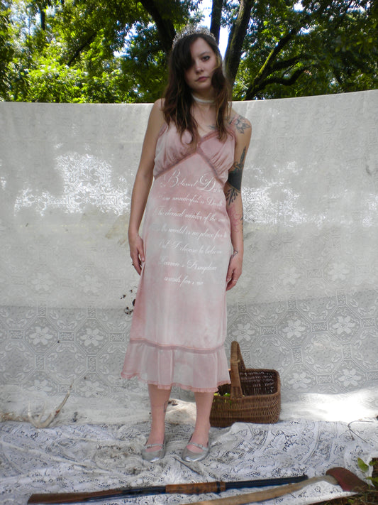 Beloved Dust Vintage Pink Blush Slip